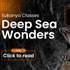 deep sea wonders sukanya classes blog thumb
