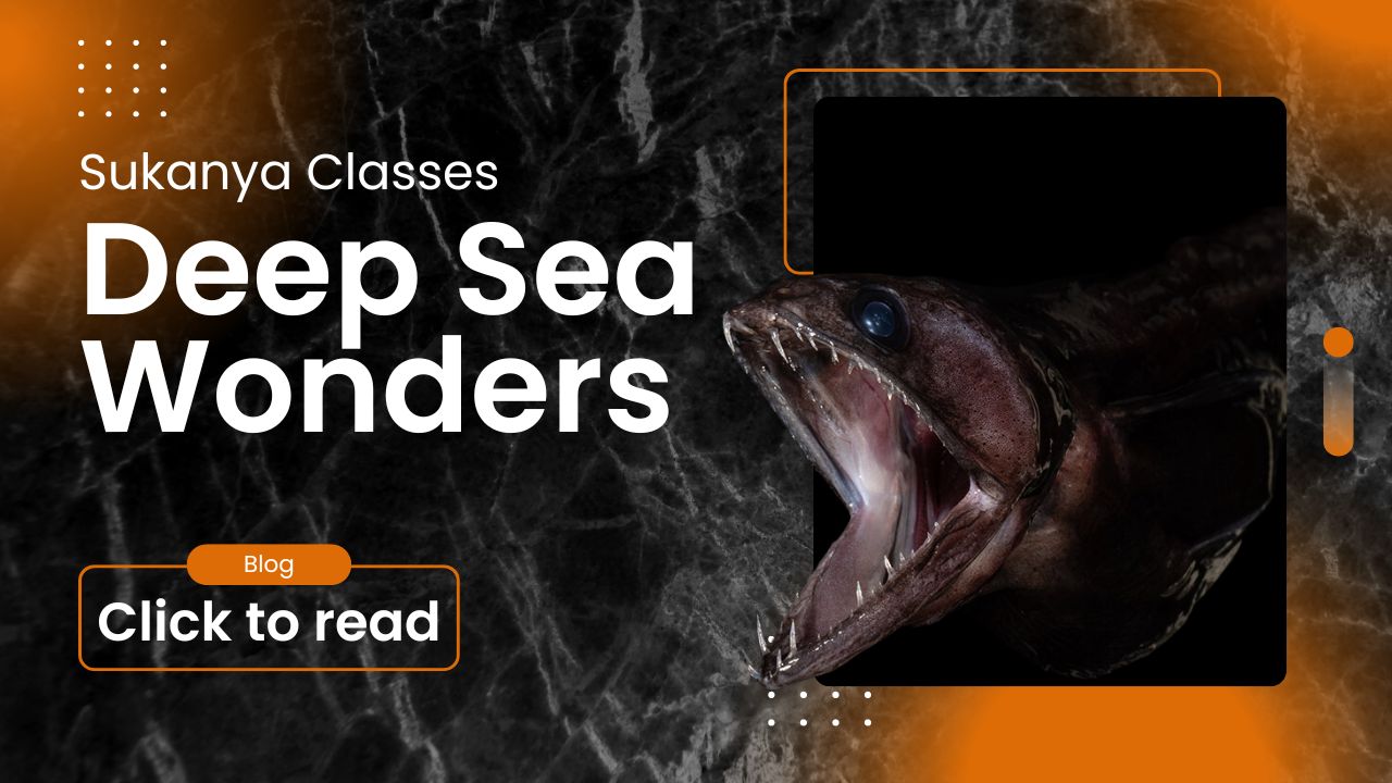 deep sea wonders sukanya classes